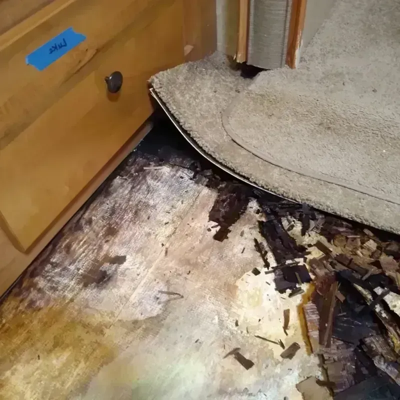 Wood Floor Water Damage in Gibraltar, MI